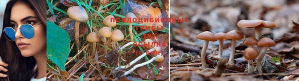 мдма Волоколамск