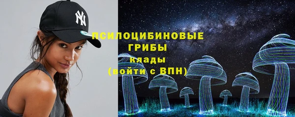 амф Володарск