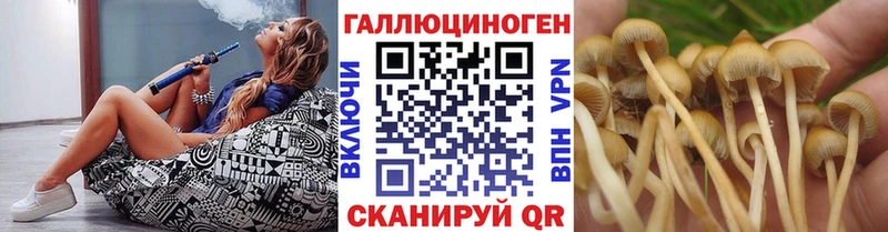 Псилоцибиновые грибы ЛСД  сколько стоит  Лебедянь 